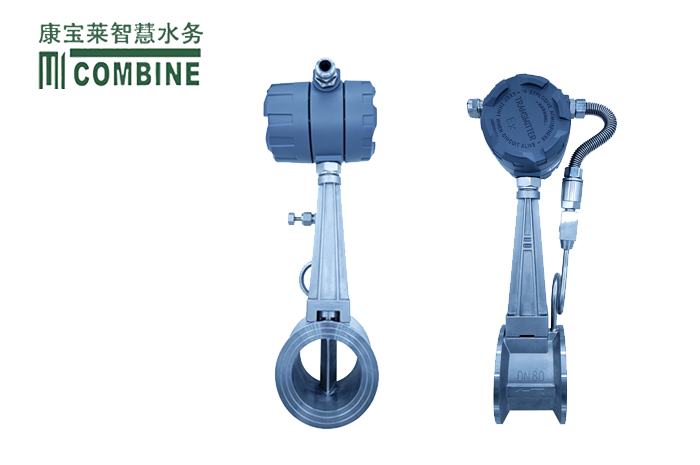 渦街流量計(jì)